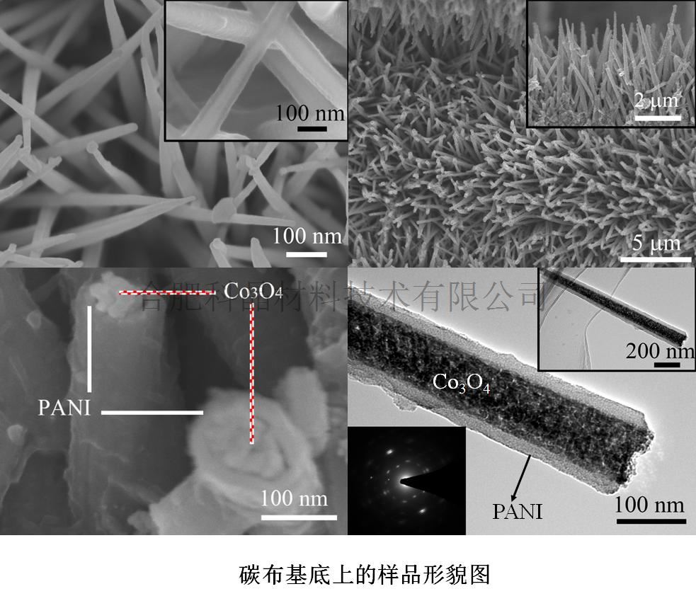 代表性样品的扫描电镜和透射电镜照片如下