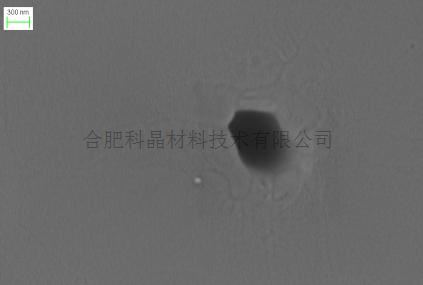 图片16.jpg 图片16.jpg