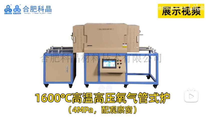 企业微信截图_20250210085659.jpg